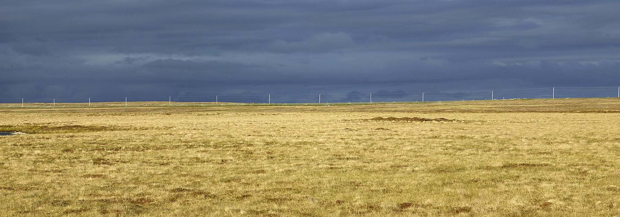 Ned Pratt's Route 10 depicts a stormy sky hovering over a yellow grassy field. A fence bisects the field's horizon.