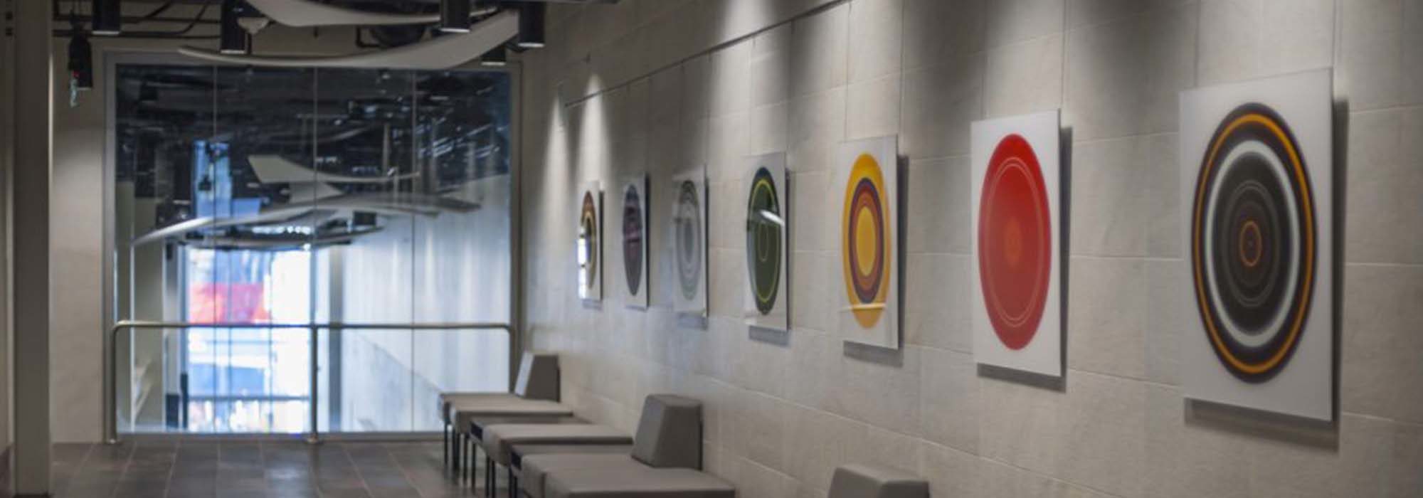 Peter Wilkin's Music to your Eyes collection is displayed on a wall